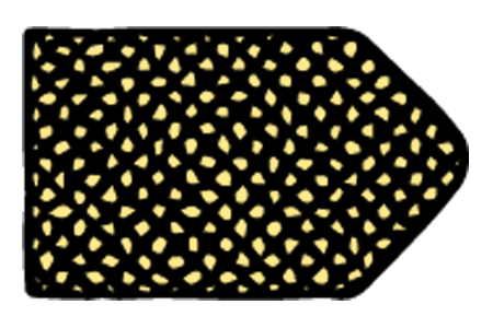 آزمون ریون 2
