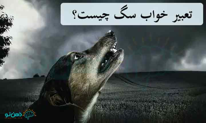 تعبیر خواب سگ چیست