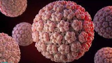 ویروس HPV ( اچ پی وی )