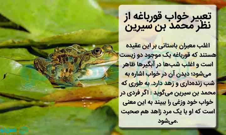 انواع تعبیر خواب قورباغه