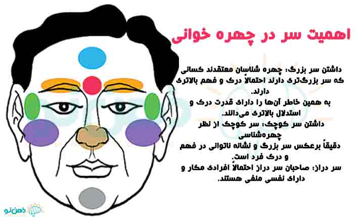 اهمیت سر در چهره خوانی