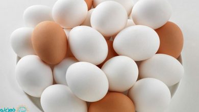 تعبیر خواب تخم مرغ