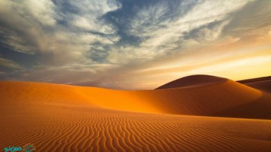 تعبیر خواب کویر شدن و دیدن بیابان