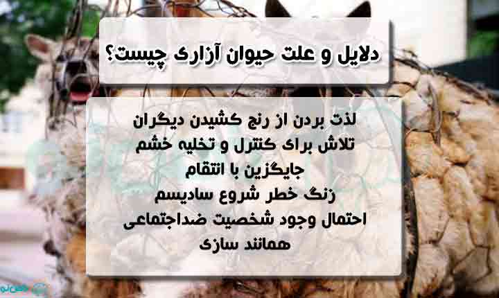 علت حیوان آزاری