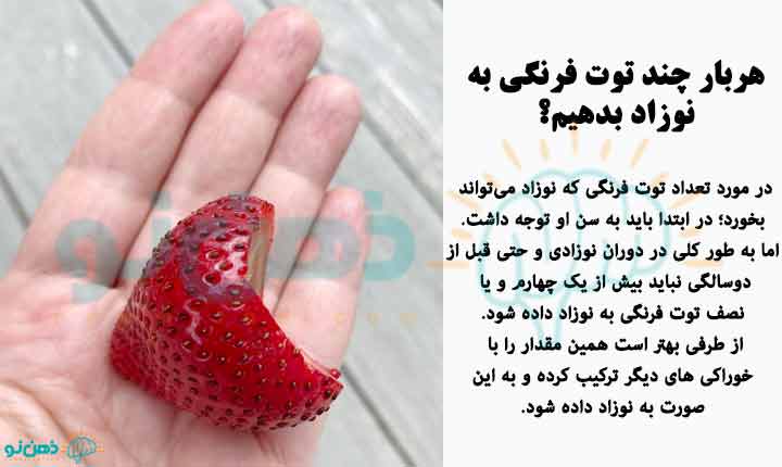 مقدار توت فرنگی برای نوزاد