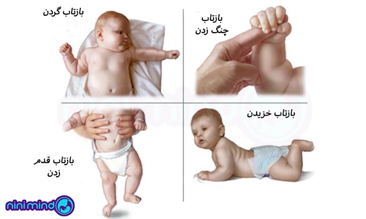 بازتاب نوزادان