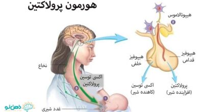هورمون پرولاکتین