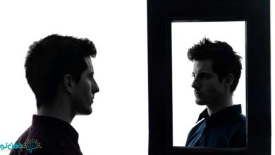 مکانیسم درون فکنی