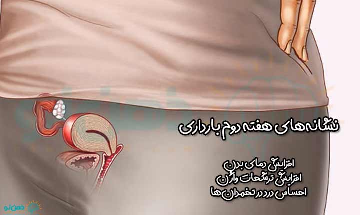 نشانه های هفته دوم بارداری