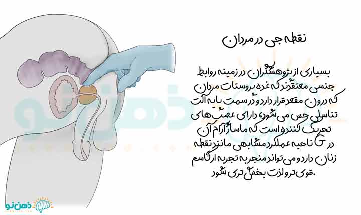 انواع نقاط تحربک پذیر آقایان