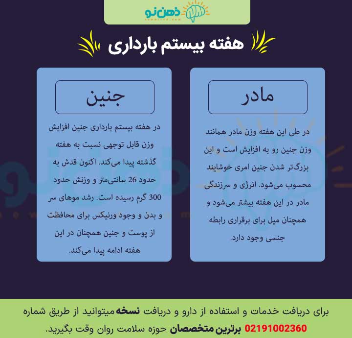 جنین در هفته بیستم بارداری