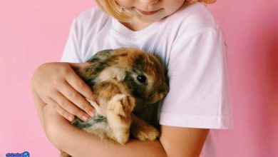 حیوان خانگی برای کودکان