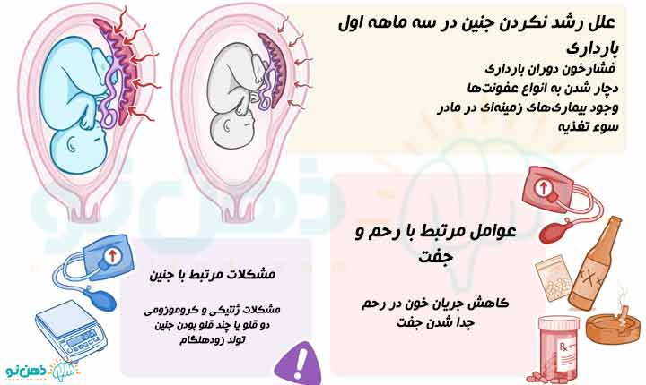 دلایل رشد نکردن جنین