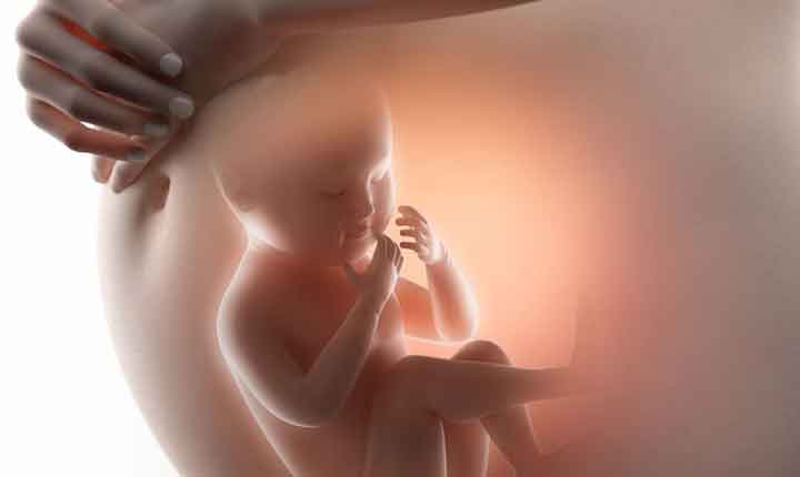 رشد نکردن جنین