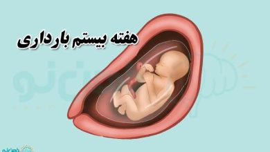 هفته بیستم بارداری