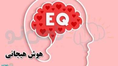هوش هیجانی