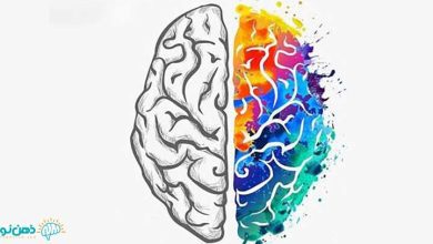 طرحواره دیگر جهت مندی