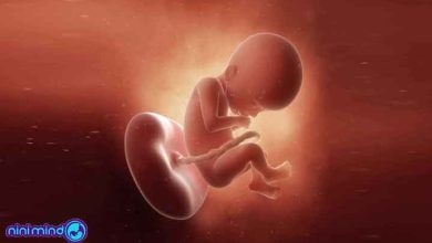 هفته بیست و دوم بارداری