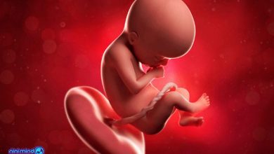 هفته بیست و یکم بارداری