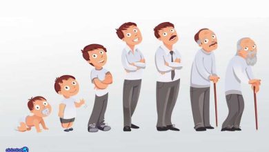 مراحل رشد کودک تا بزرگسال