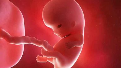 هفته نهم بارداری را چگونه بگذرانیم؟