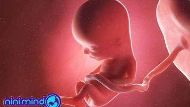 هفته سیزدهم بارداری چه کارهایی باید بکنیم