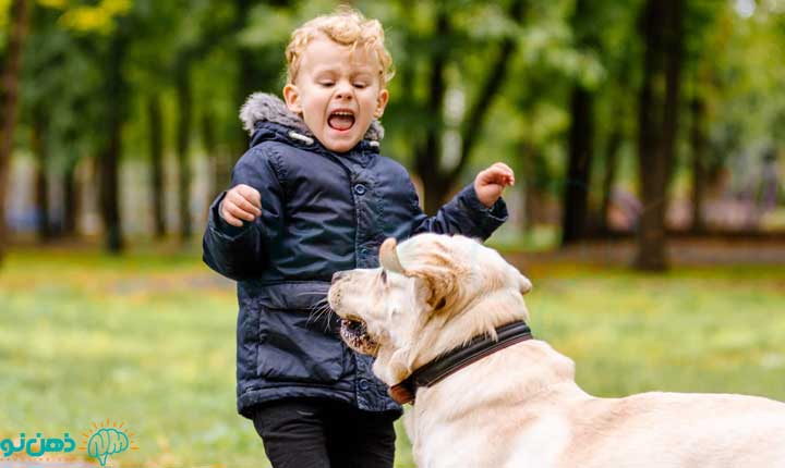 علت ترس از سگ، ذهن نو