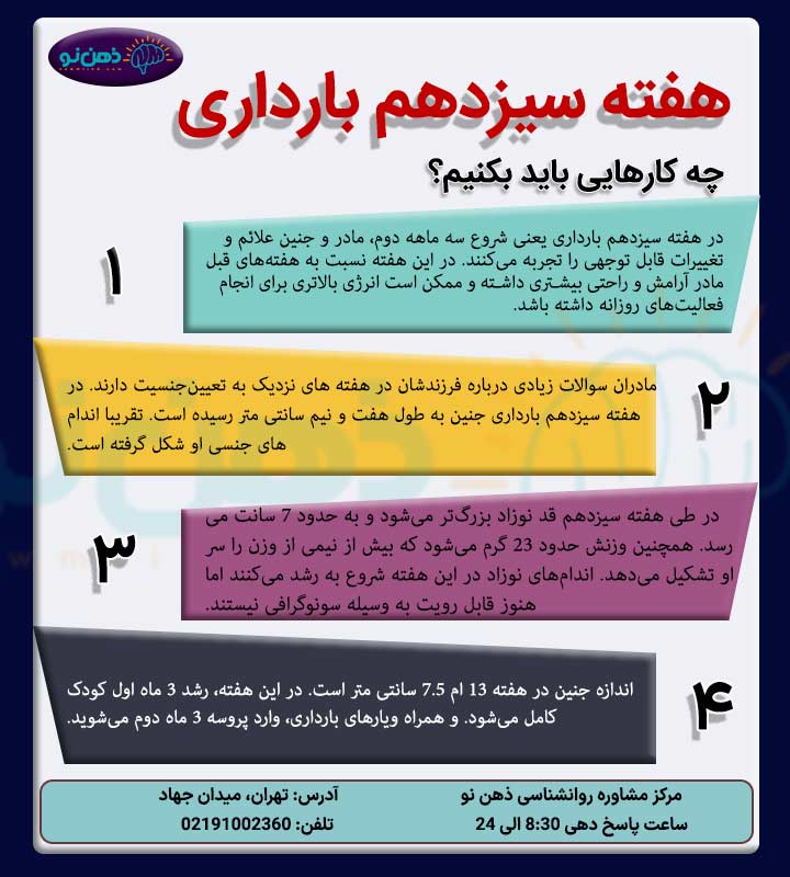 هفته سیزدهم بارداری