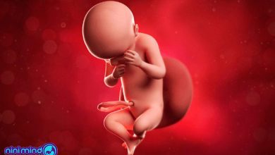 هفته سی ام بارداری | نکات هفته 30 ام بارداری