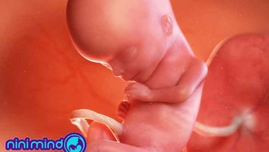 هفته پانزدهم بارداری