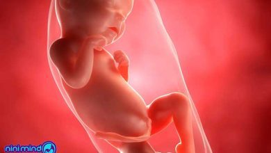 هفته سی و یکم بارداری