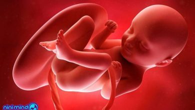 هفته سی و سوم بارداری