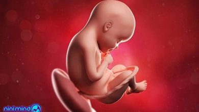 هفته بیست و نهم بارداری | مادر در هفته 29 بارداری