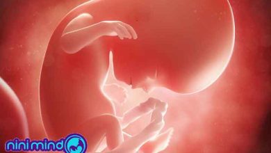 هفته چهاردهم بارداری