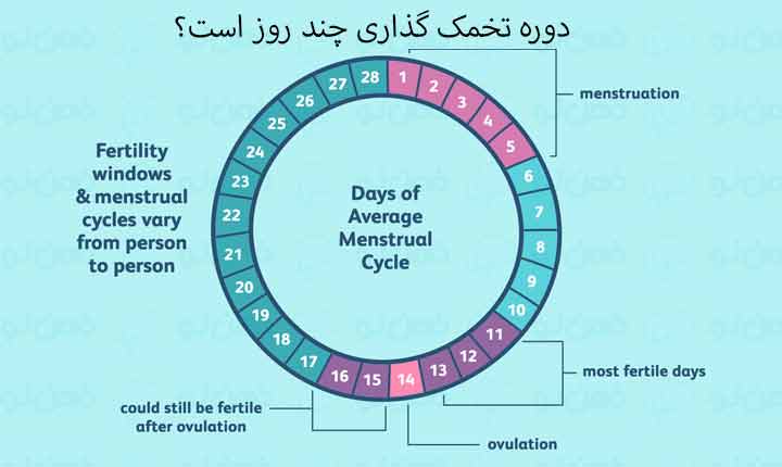در چه زمانی بهتر است کیت های تخمک گذاری استفاده شوند؟