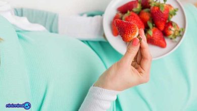 توت فرنگی در بارداری