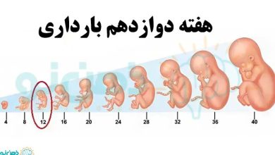 شرایط هفته دوازدهم بارداری