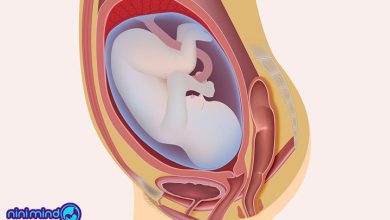 مایع آمنیوتیک چیست | فواید مایع آمنیوتیک