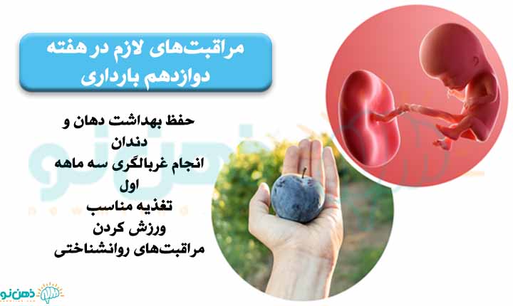 مراقبت های هفته دوازدهم بارداری