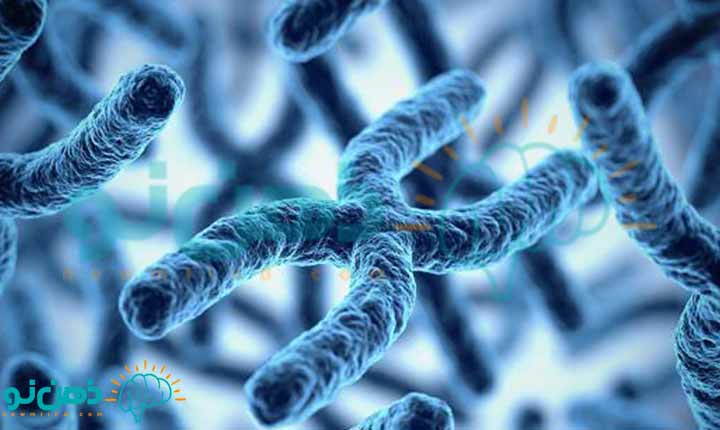کروموزوم و نقش ژن ها در بدن ، ذهن نو