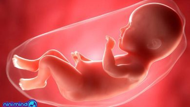 هفته سی و چهارم بارداری