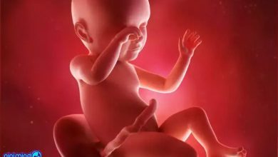 هفته سی و نهم بارداری