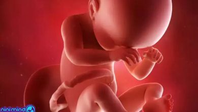 هفته سی و هشتم بارداری