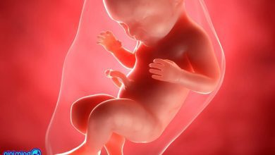 هفته چهلم بارداری