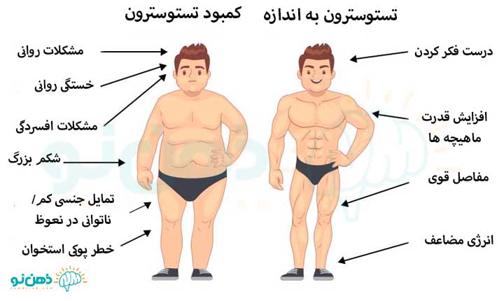 کمبود تستوسترون در مردان