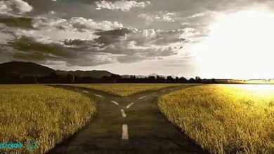 واقعیت درمانی و تئوری انتخاب | اصول، فنون و تکنیک