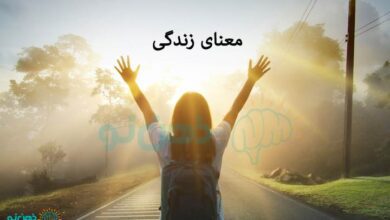 معنای زندگی