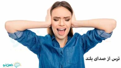 ترس از صدای بلند