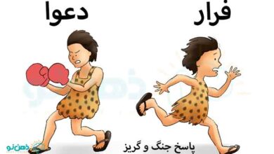 پاسخ جنگ و گریز