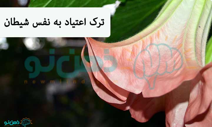 ترک نفس شیطان